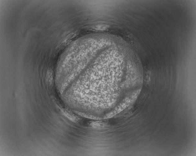 X0000076320568200610201642