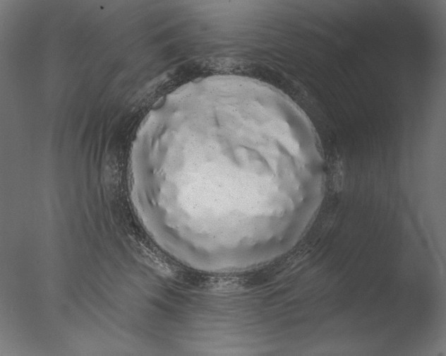 X0000076320569200610201642