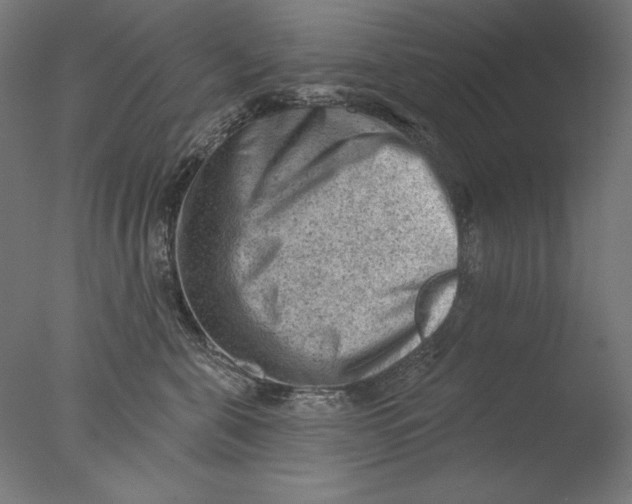 X0000076320571200610201642