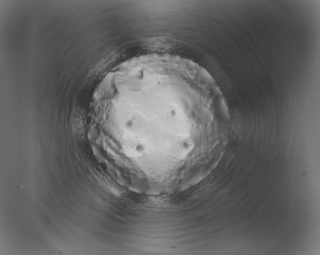 X0000076320573200610201642