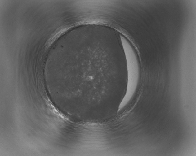 X0000076320577200610201641