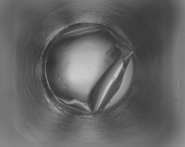 X0000076320580200610201641