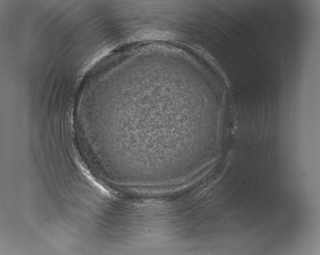 X0000076320581200610201641