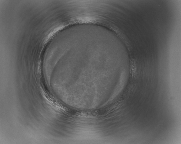 X0000076320583200610201641