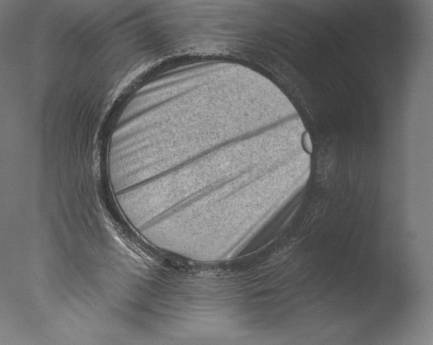 X0000076320584200610201641