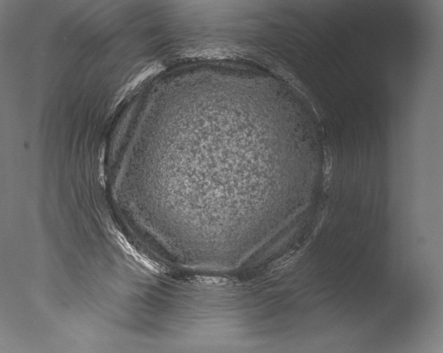 X0000076320585200610201641