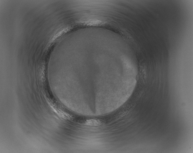 X0000076320591200610201641