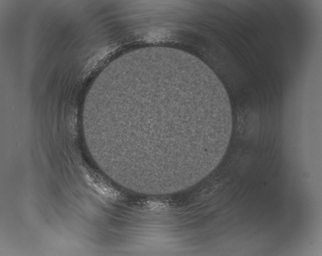 X0000076320592200610201641