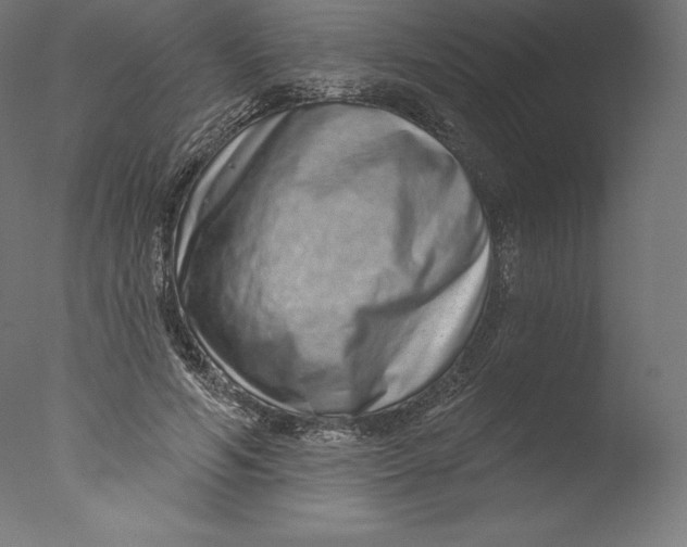 X0000076320594200610201641