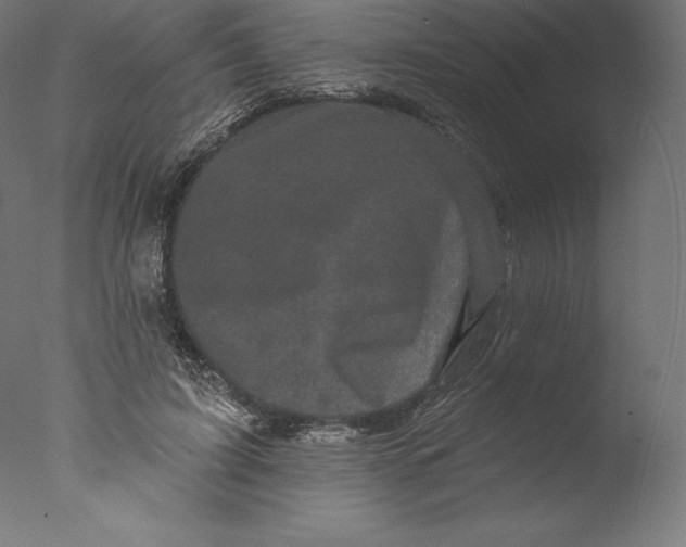 X0000076320595200610201641