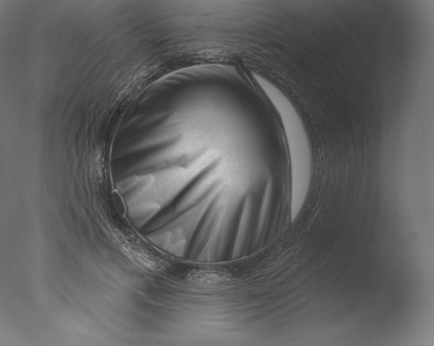 X0000076320597200610201641