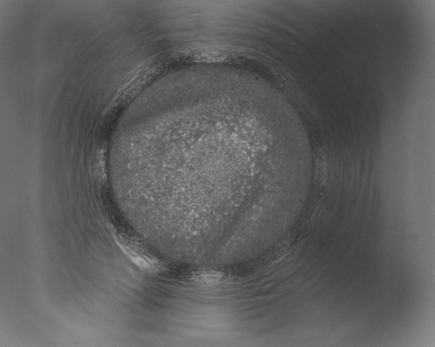 X0000076320598200610201641