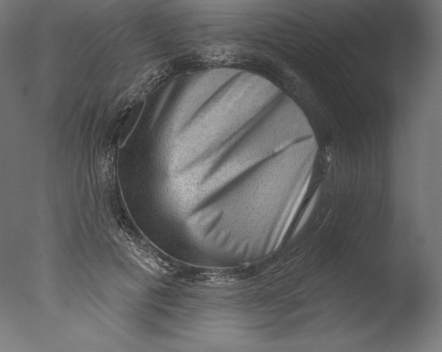 X0000076320601200610201641