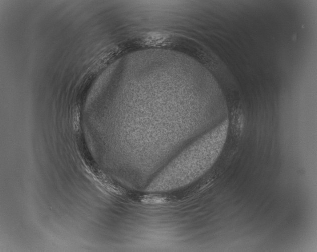 X0000076320602200610201641