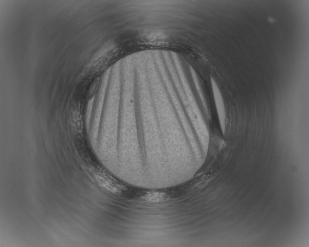 X0000076320609200610201640