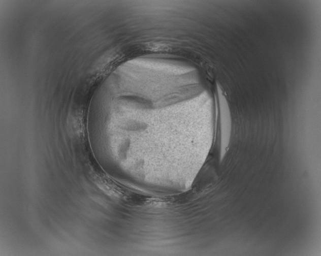 X0000076320620200610201640