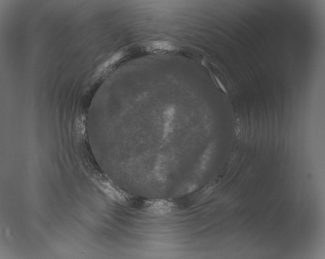 X0000076320621200610201640