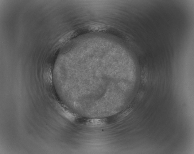 X0000076320622200610201640