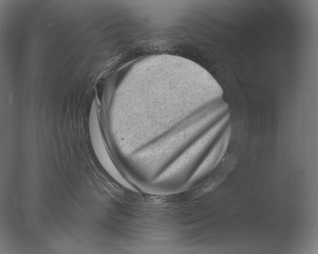 X0000076320624200610201640