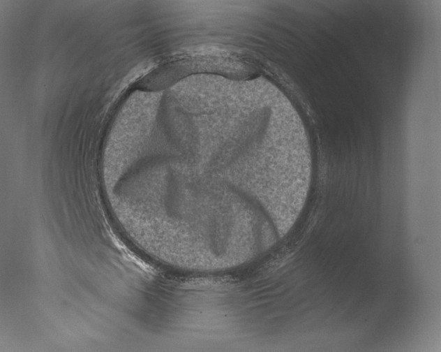 X0000076320625200610201639