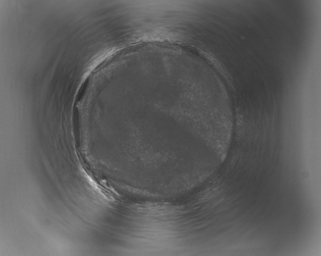 X0000076320626200610201639