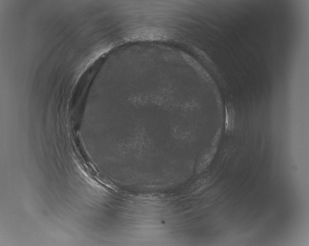 X0000076320627200610201639