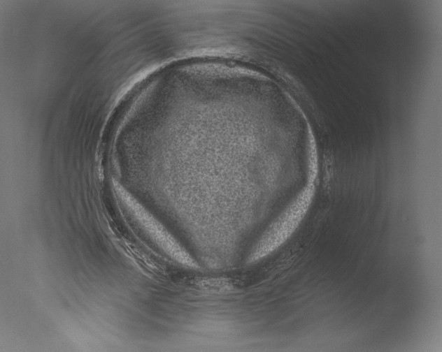 X0000076320628200610201639