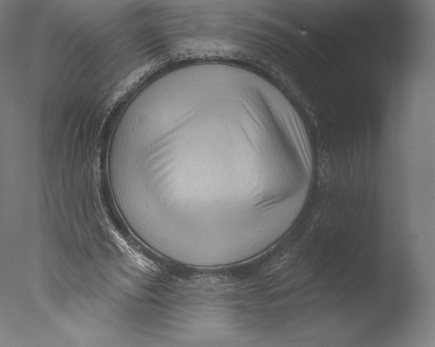 X0000076320629200610201639