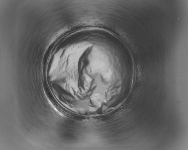 X0000076320630200610201639