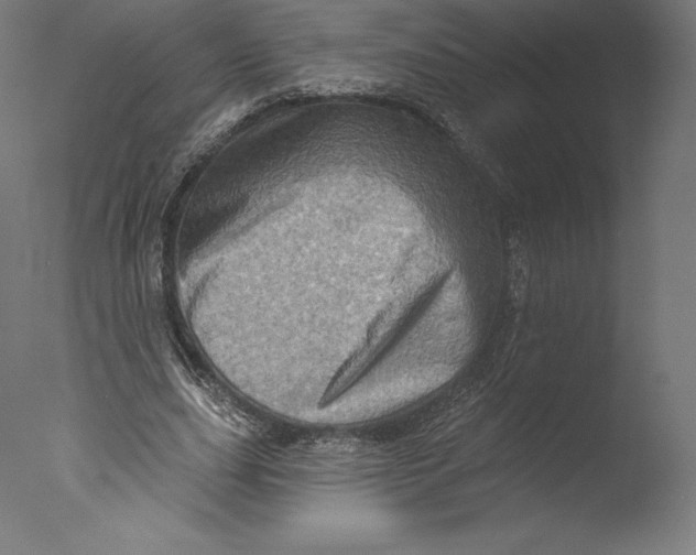 X0000076320631200610201639