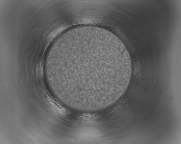 X0000076320632200610201639