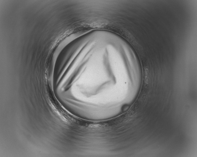 X0000076320634200610201639