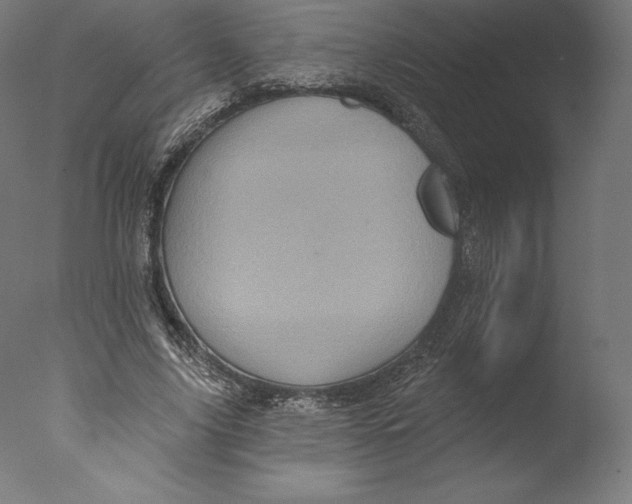 X0000076320635200610201640