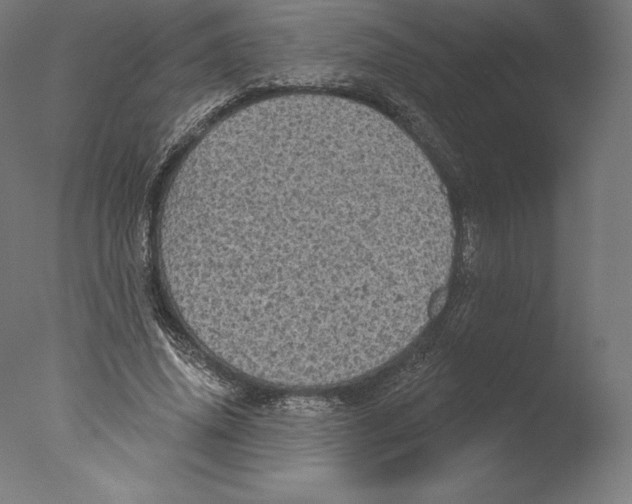 X0000076320636200610201640