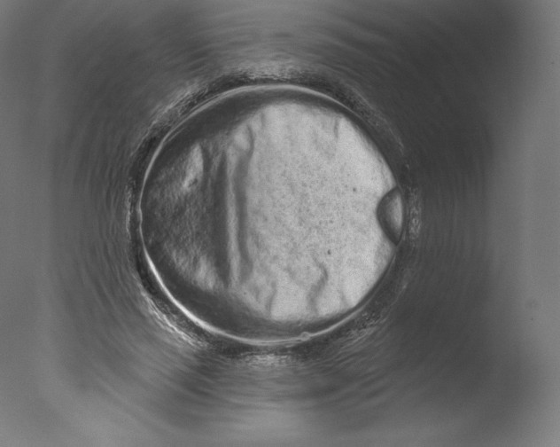 X0000076320637200610201640