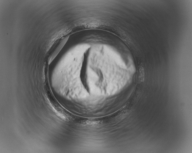 X0000076320638200610201640