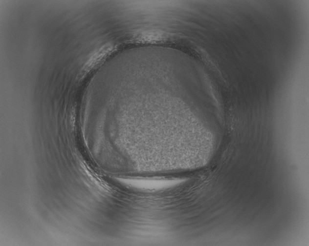 X0000076320640200610201640