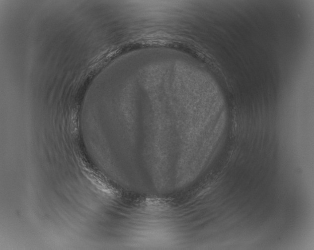 X0000076320641200610201640