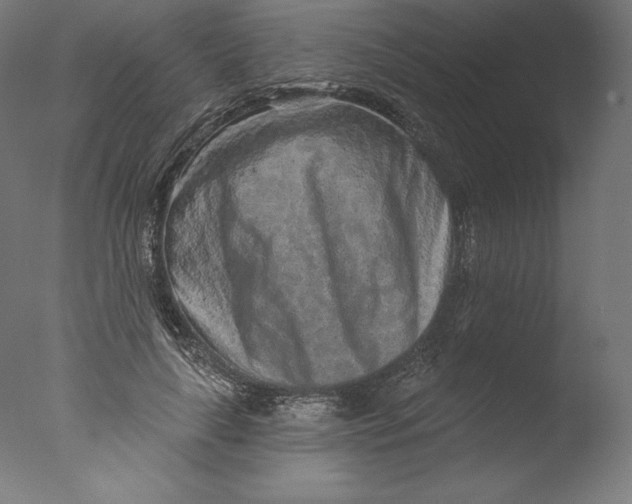 X0000076320643200610201640