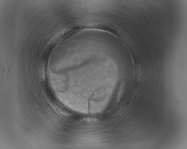 X0000076320644200610201640