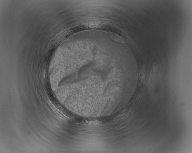 X0000076320645200610201640