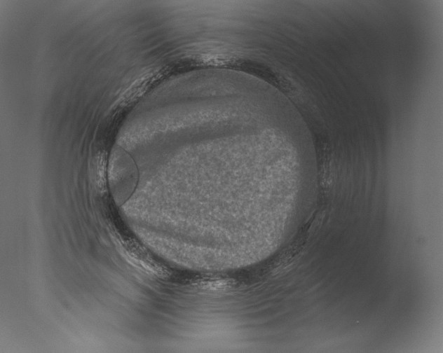 X0000076320646200610201640