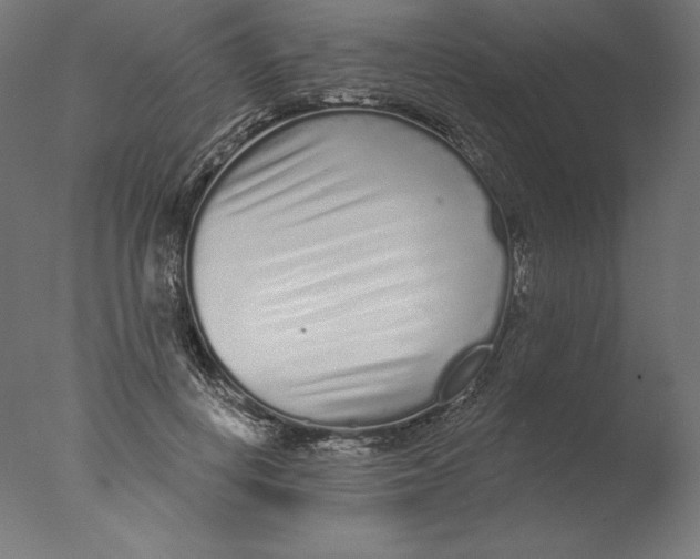 X0000076320648200610201640