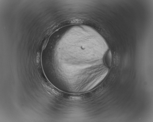 X0000076320649200610201640