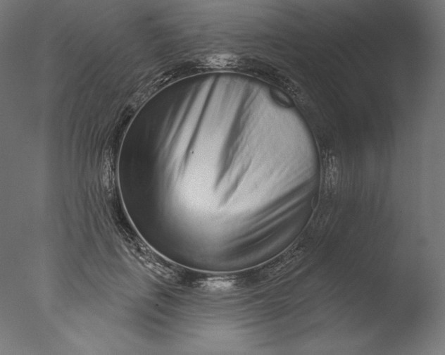 X0000076320651200610201640