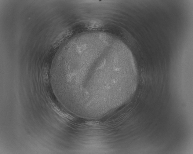 X0000076320654200610201640