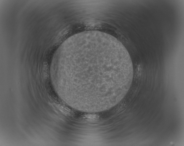 X0000076320659200610201640