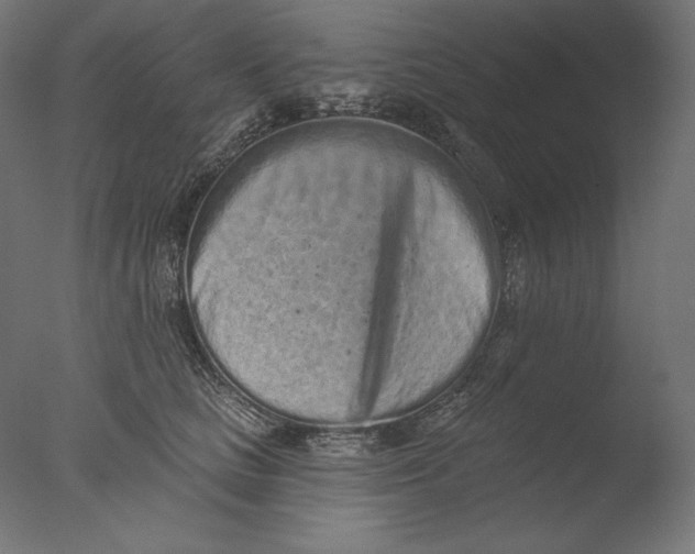 X0000076320661200610201640