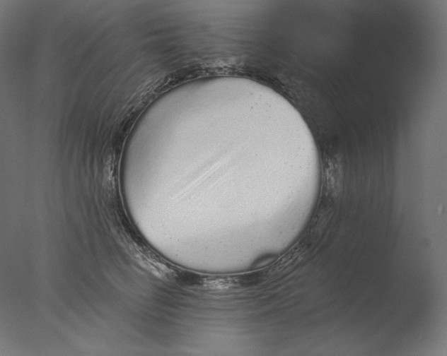 X0000076320662200610201640