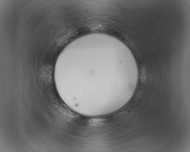 X0000076320664200610201640